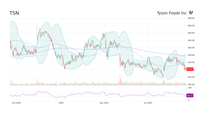 TSN - Tyson Foods Inc Stock Price Forecast 2025, 2026, 2030 to 2050 ...