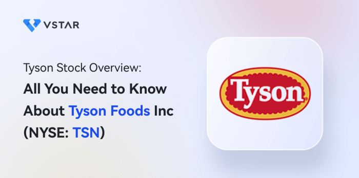 Tyson Stock Overview: All You Need to Know About Tyson Foods Inc (NYSE ...